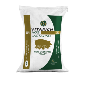 Hog Lactating Pellet